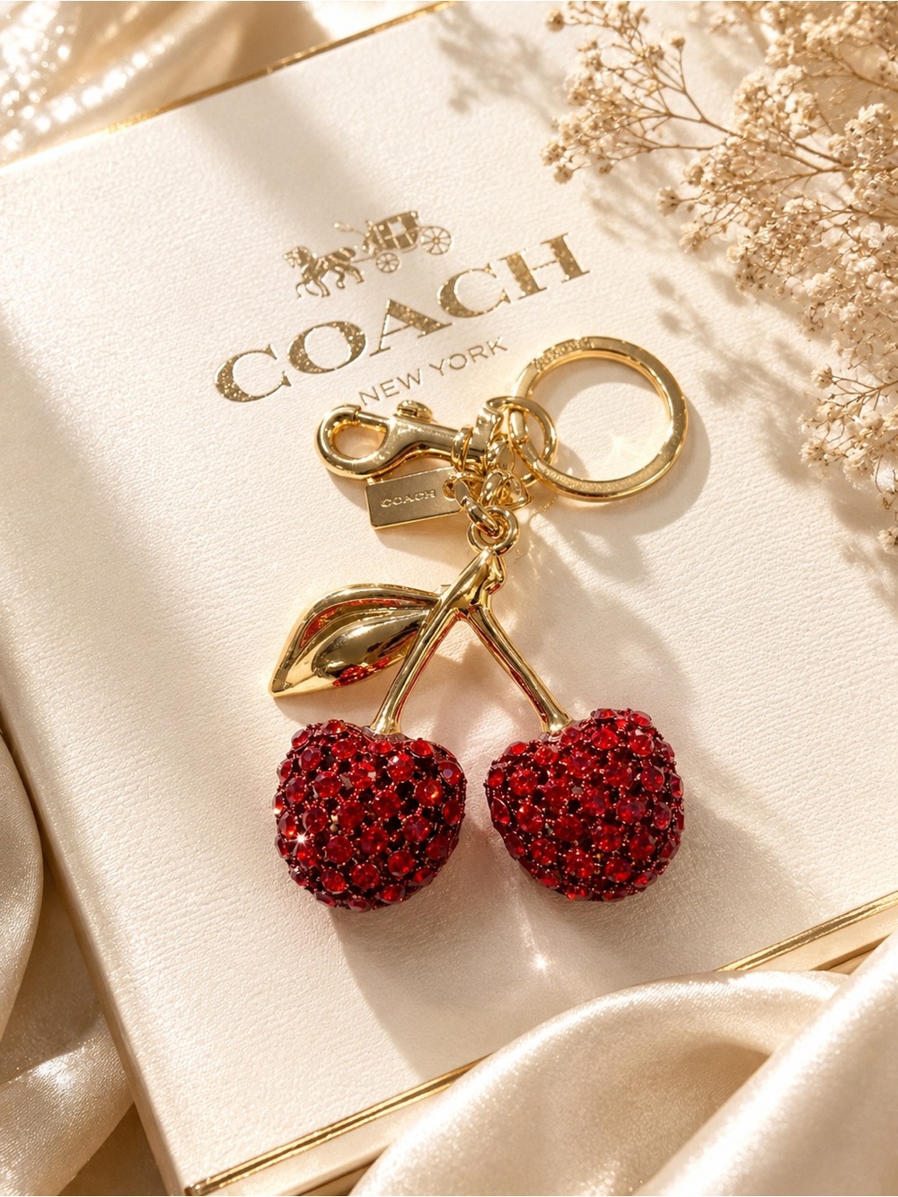 🍒Key Charm🍒